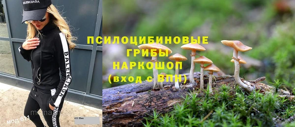 прущая мука Пестово