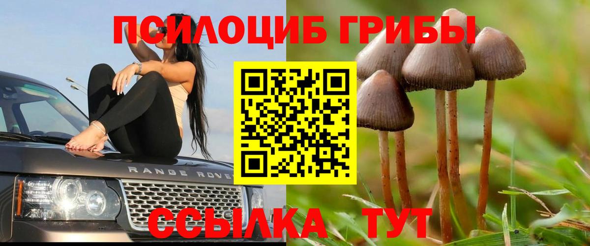 Галлюциногенные грибы MAGIC MUSHROOMS  Вход с VPN  Костомукша 