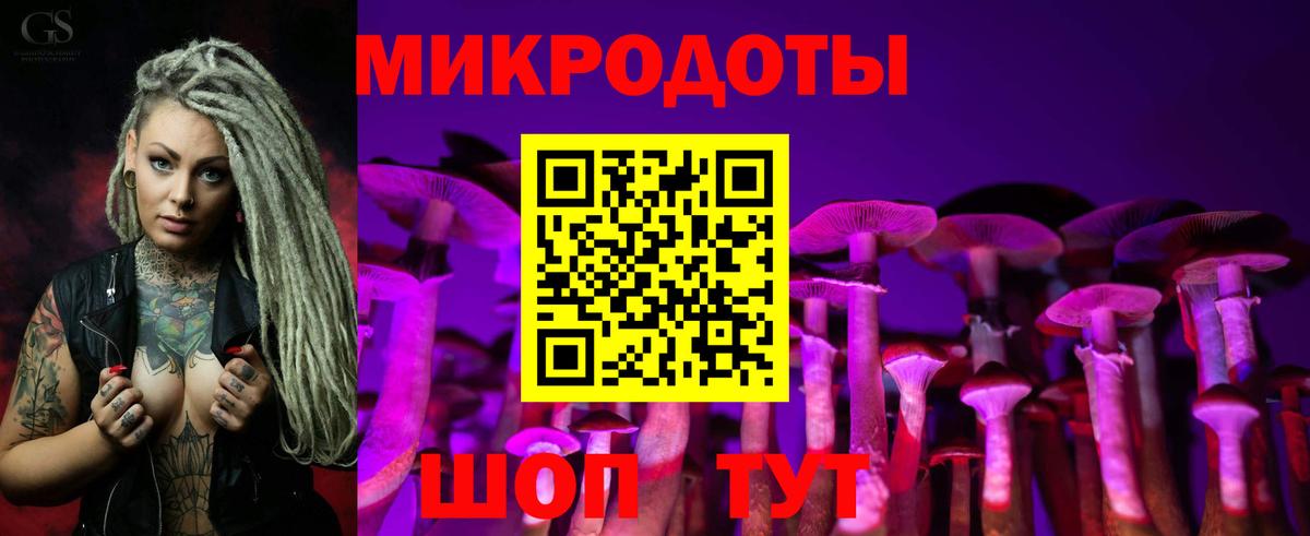 Галлюциногенные грибы Psilocybine cubensis Костомукша